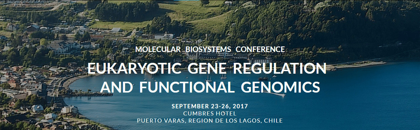 Molecular Biosystems conference Chile 2017